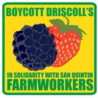 Driscolls Berries