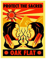 Protect Oak Flat Campaign